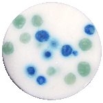 Bombes Effervescentes Bombes Effervescentes